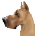 �t�H�[���u�R�C�c�n������ȁB�v