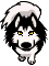 ���N�u�u���[��������Ă���v